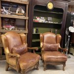 AMERİKAN DERİ KULAKLI BERJER