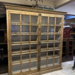 MUDO MEŞE AĞACI KİTPALIK